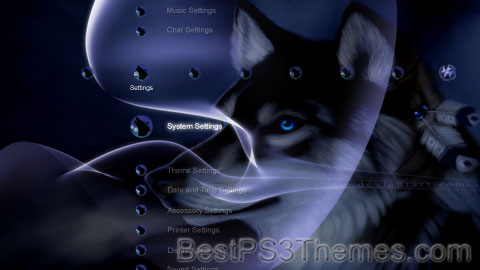 wolf