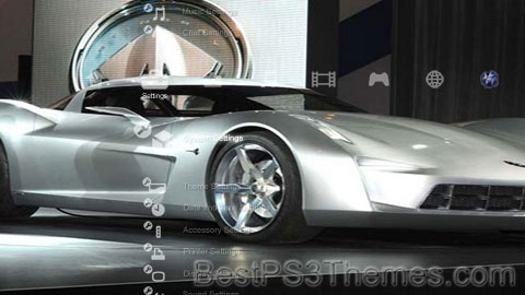 stingray2