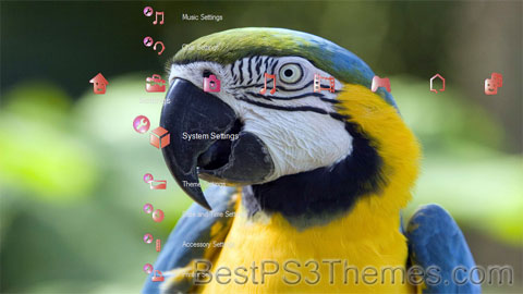 animaltheme
