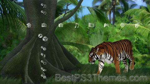 tiger