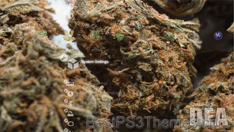 weed_2