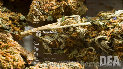 weedsound