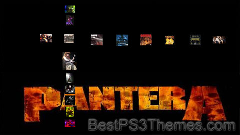 pantera