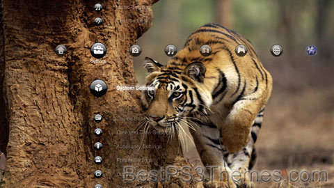 animals_2
