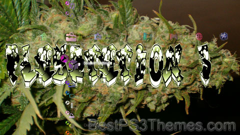 cannabisland