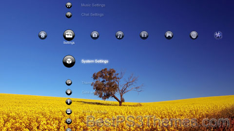 fields_2