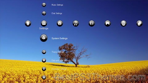 fields