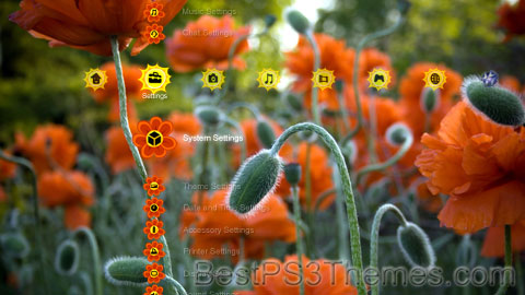 flowers_2