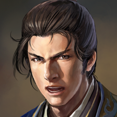 Sangokushi 12