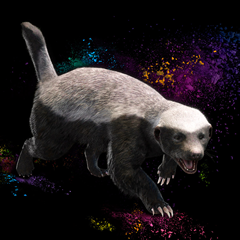 Far Cry 4